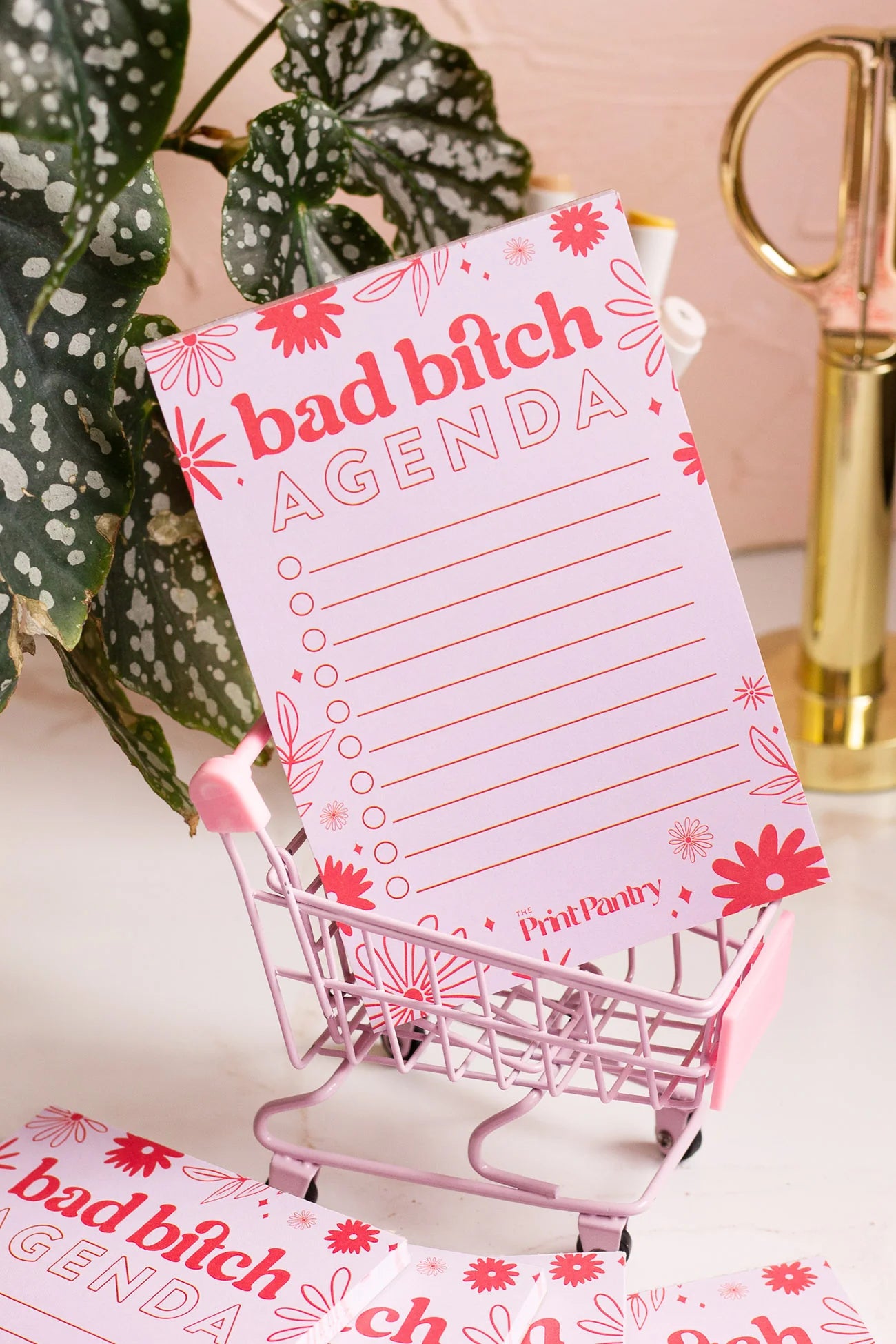 Bad Bitch Agenda