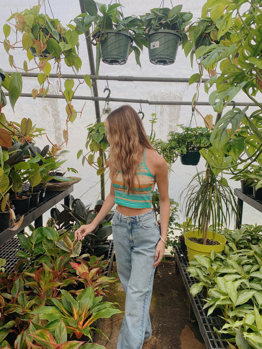 Delta Halter Top